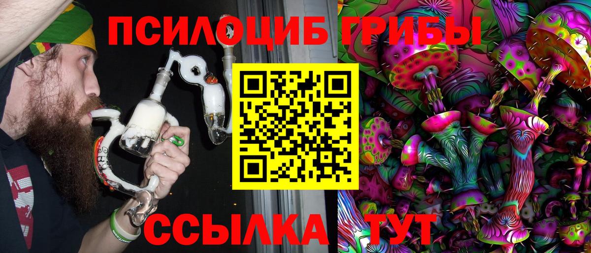 Псилоцибиновые грибы GOLDEN TEACHER Кунгур