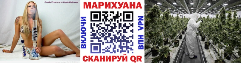 мега онион  Кунгур  Шишки марихуана конопля  сколько стоит 